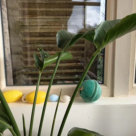 Appartement La Maison Du Port De - Romance