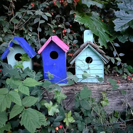 La Maison Du Port De - Romance Appartement Couëron