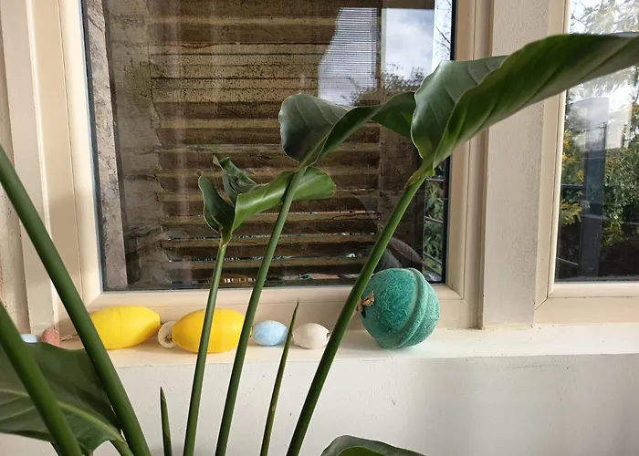 Appartement La Maison Du Port De - Romance